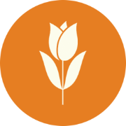 Logo de LaTulipe Éditions